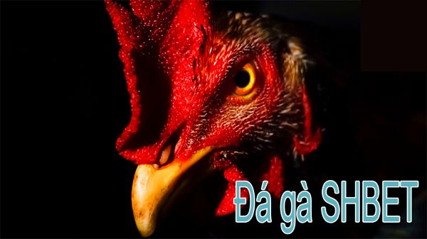 Mẹo quan trọng khi nạp tiền vào trang web game Banca30 - Banca30