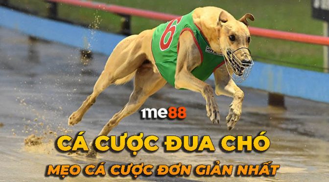 Giới thiệu về Go99, địa điểm thể thao hàng đầu châu Á - Go99