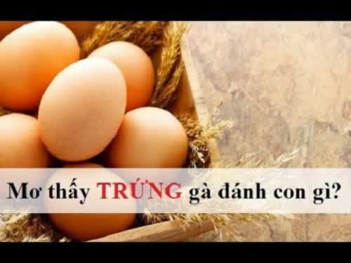 88Goals cung cấp rất nhiều sản phẩm đa dạng - 88Goals