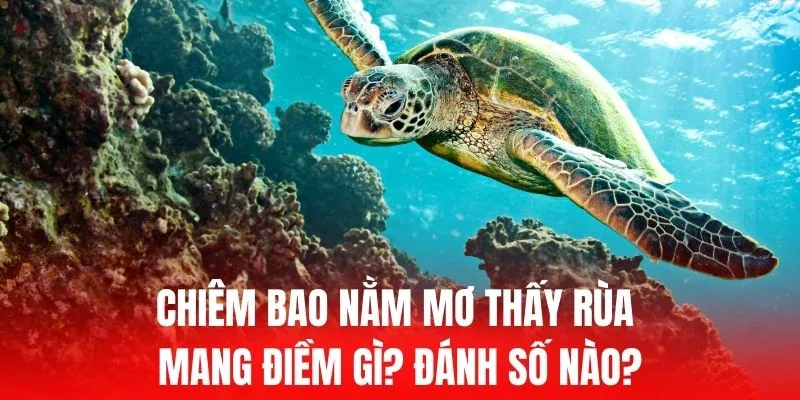 Ai không biết đến công ty game này thì không phải là một người chơi cờ bạc thực thụ - Av88