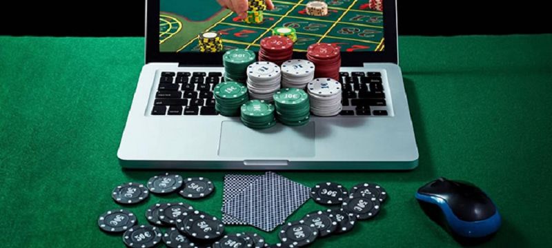 Gà trống sống loại 7Ball - 7Ball