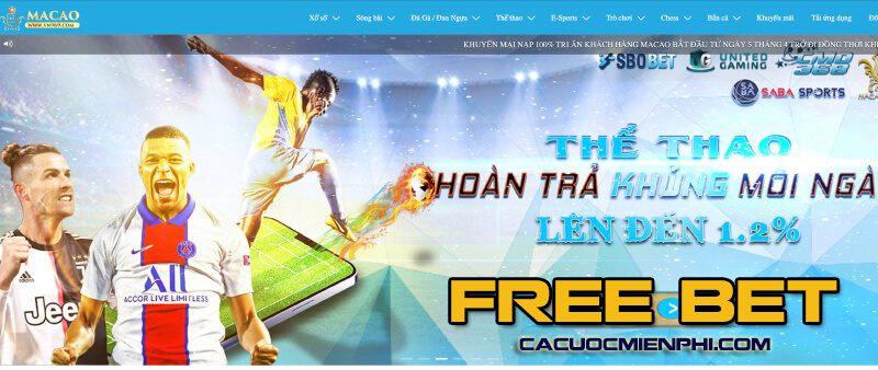 Các giải thưởng cấp Sv66 không yêu cầu các cơ quan trung gian - Sv66