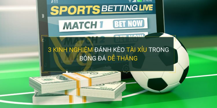 Tổng quan về các thiên đường giải trí hạng Abc8 - Abc8