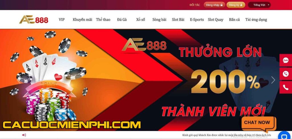 Hướng dẫn cá cược bóng đá cấp độ Hay88 - Hay88