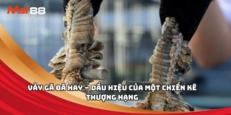 Rút tiền từ 188Bet có an toàn không? - 188Bet