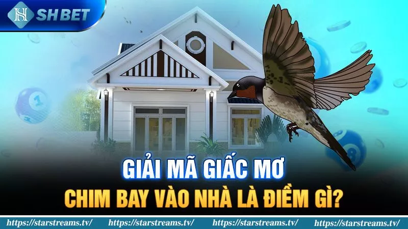 Vì sao K8cc Blog là trang web game đáng tin cậy nhất hiện nay? - K8cc