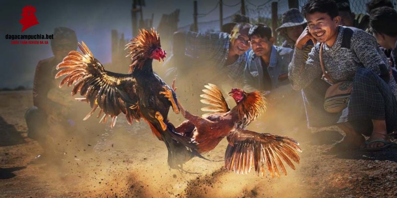 Bạn có mơ ước sở hữu một cây đàn guitar? Hãy cùng Fm88 Games hiện thực hóa giấc mơ đó! - Fm88