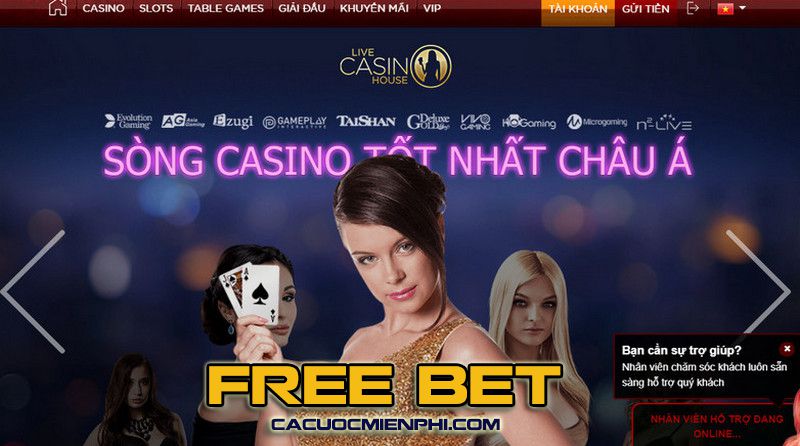 Các liên kết mới nhất đến Sum99 và PC vẫn chưa bị chặn - Sum99