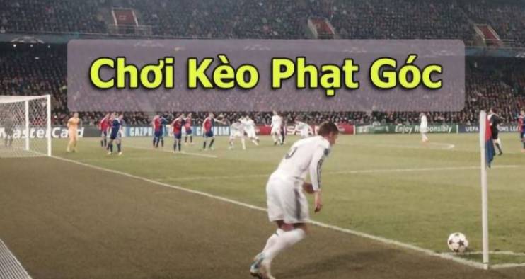 Hướng dẫn giao dịch nhanh Vt999 - Vt999