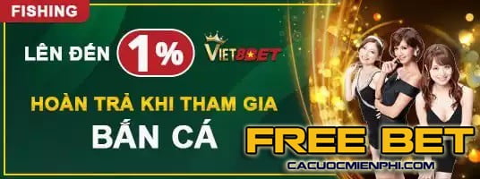 Giải thích về việc tham gia 66Vn - 66Vn