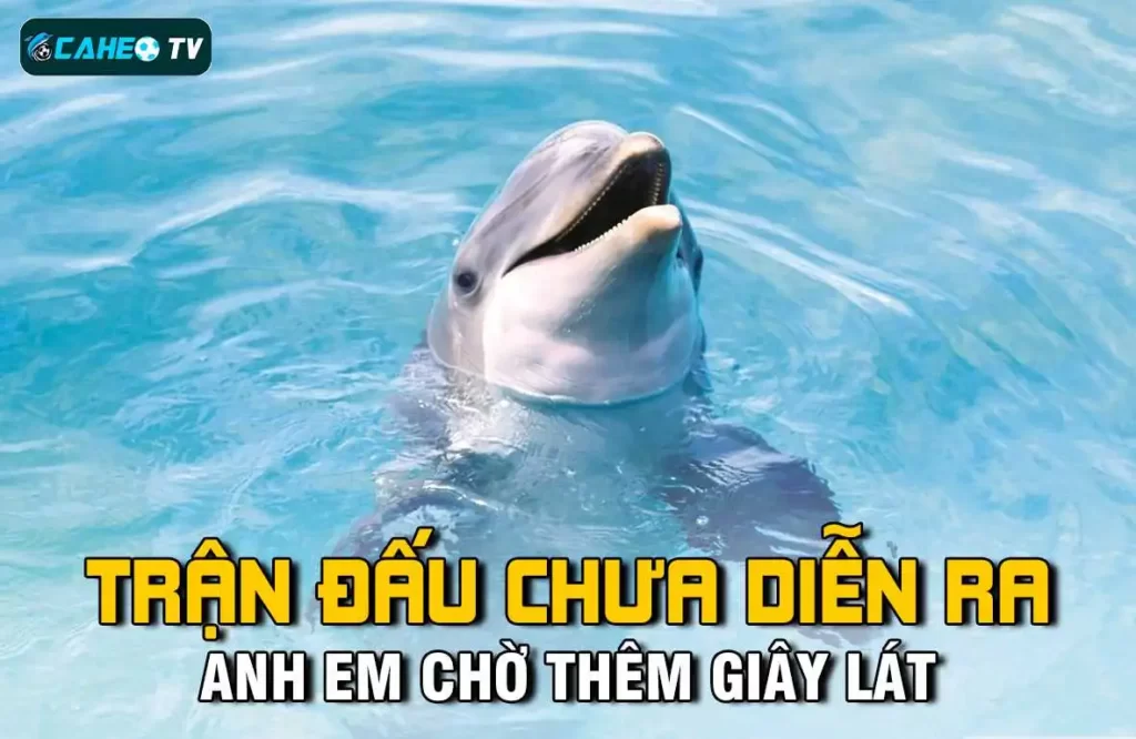 Bet98 cung cấp dịch vụ gửi và rút tiền an toàn - Bet98