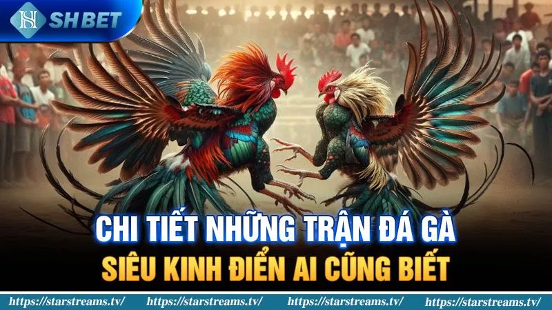 Các phương pháp phân tích hiệu quả tỷ lệ cược trận đấu bóng đá cấp độ Lk88 - Lk88