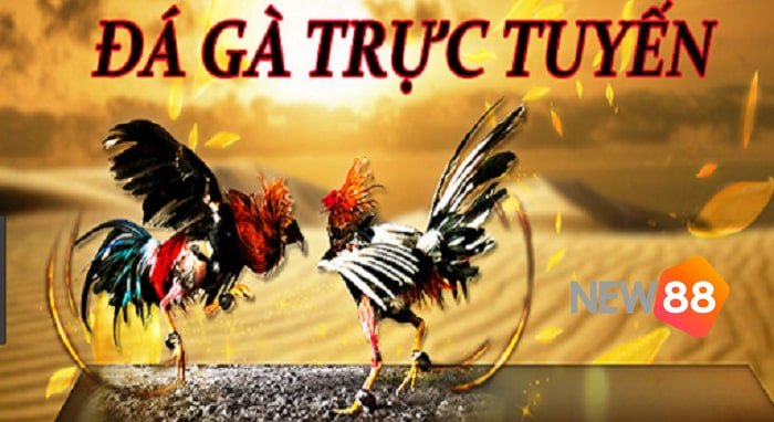 Liên kết đến trang web chính thức của Fic88 hiện đã được mở khóa - Fic88